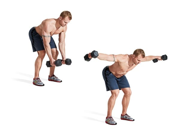 Vung tạ ngang- Reverse Dumbbell Flyes