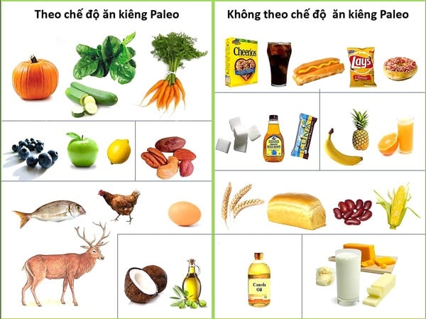 Thực phẩm nên và không nên ăn trong Paleo Diet.